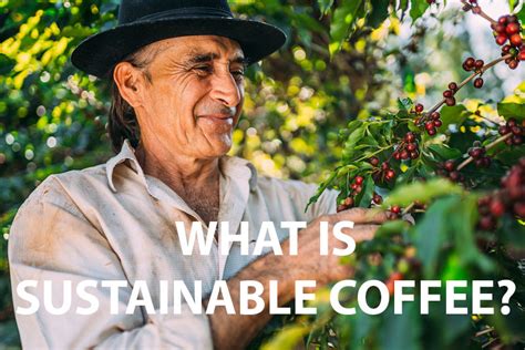 Sustainable Coffee Practices